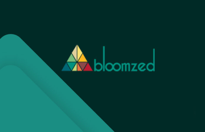 Image result for bloomzed ico