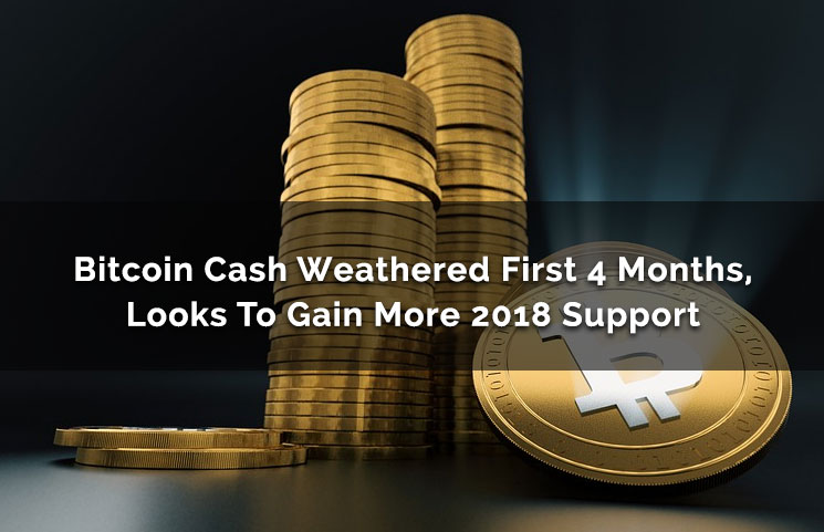 Bitcoin Cash Weathered First 4 Months, Looks To Gain More 2018 Support