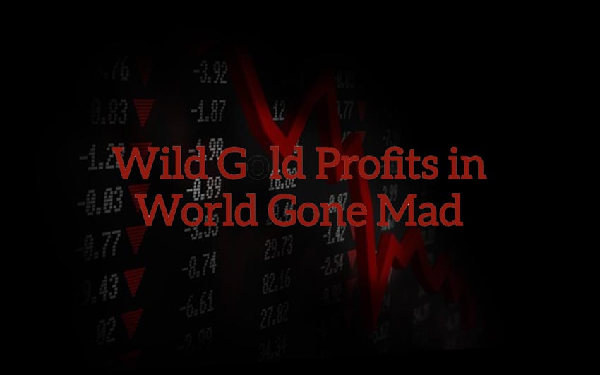 wild-gold-profits-world-gone-mad